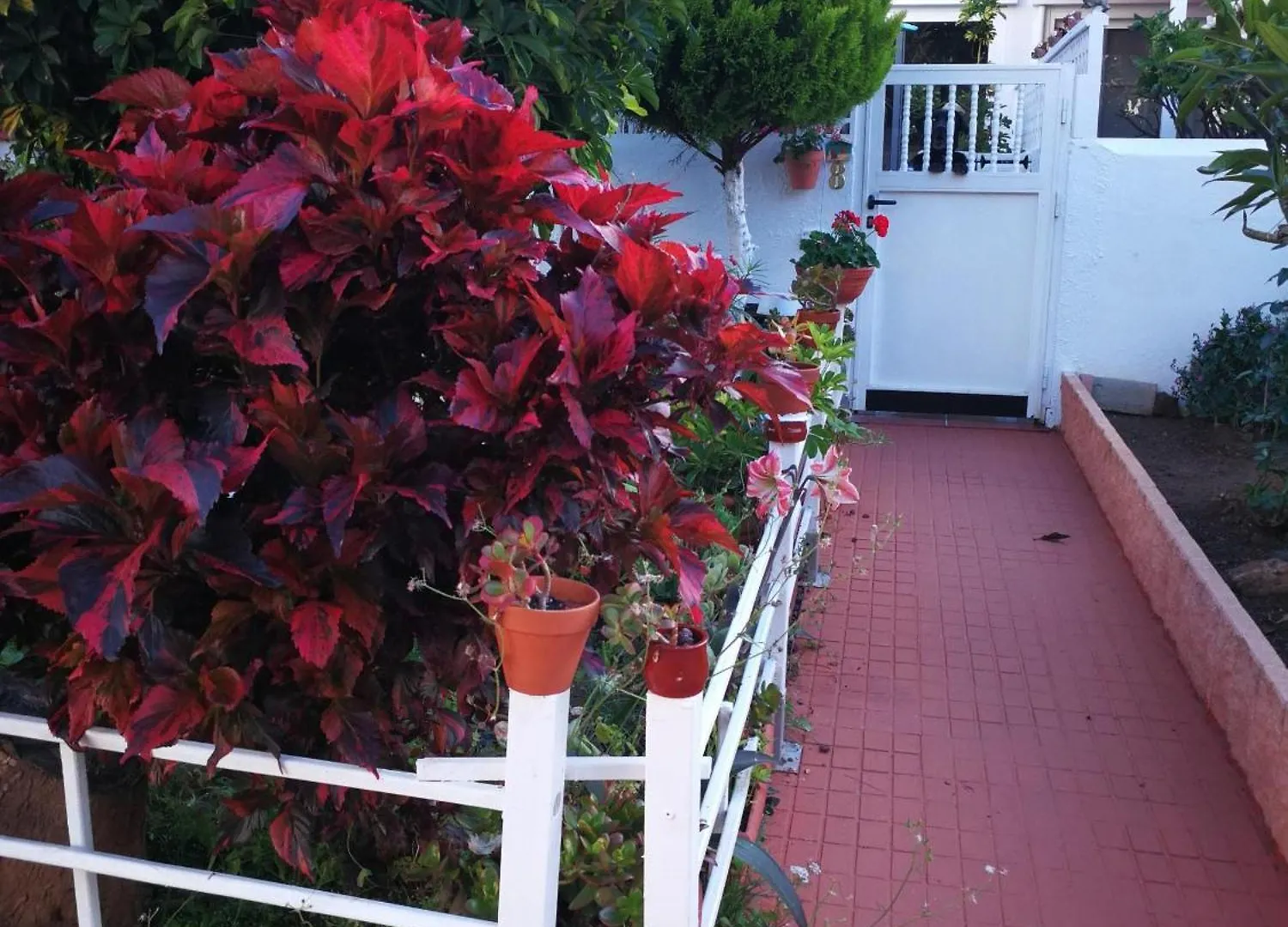 Casa En La Paz Villa Puerto de la Cruz